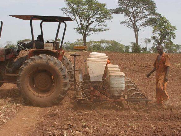 farming_nalweyo