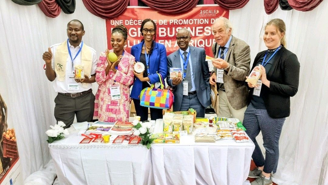 Africallia stand_2scale